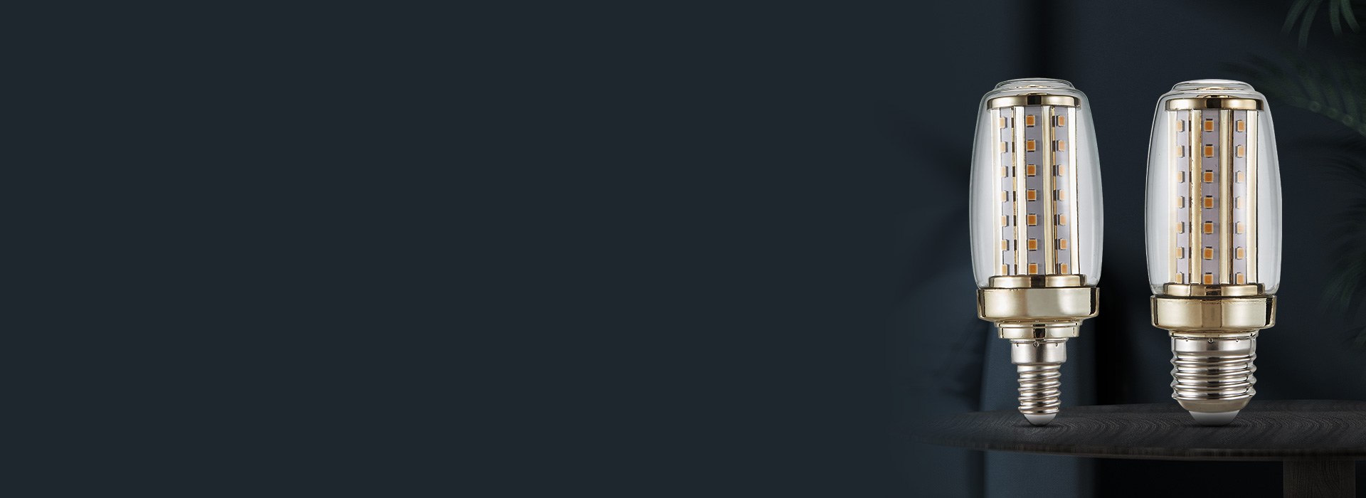 玉米燈：QP28/29系列
 高亮節(jié)能，...