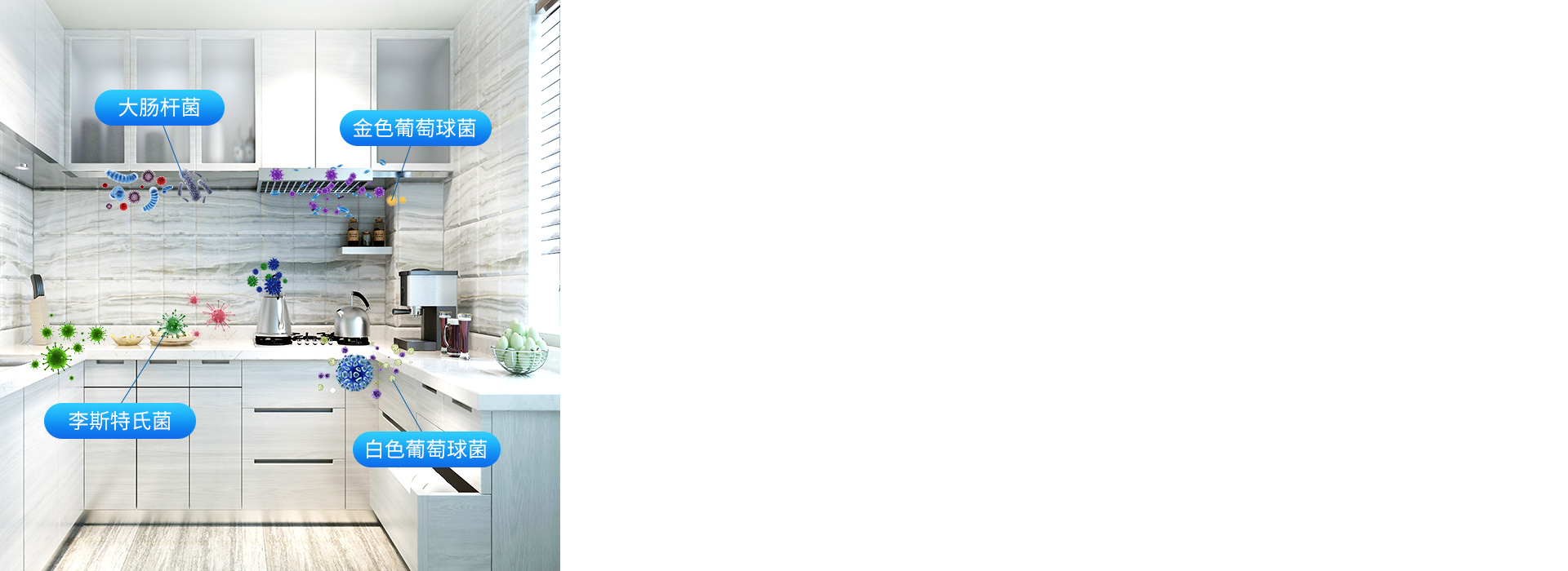 注意！廚房、衛(wèi)浴間，
 很容易滋生細(xì)菌！...