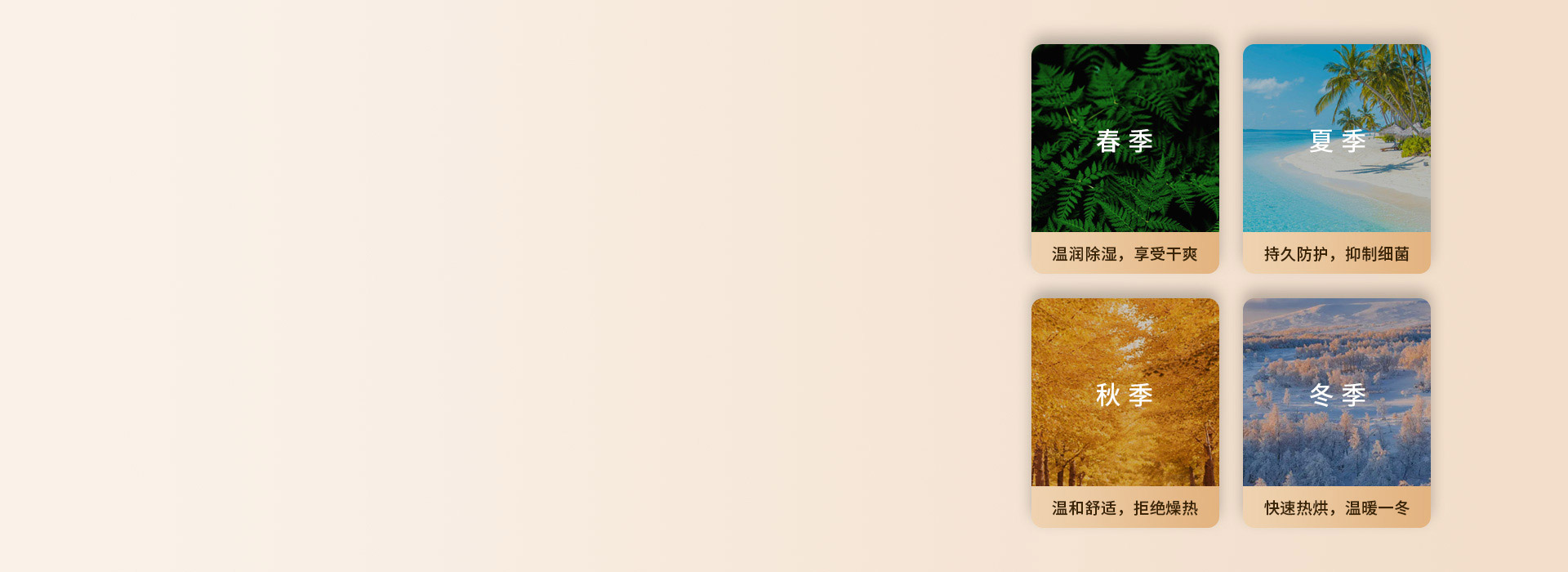 陽光體驗，全年舒享
 一年四季，享受陽光...